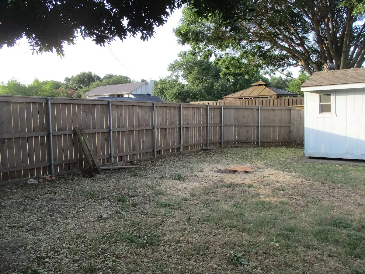 Cleared yard after professional tree removal in Scotland